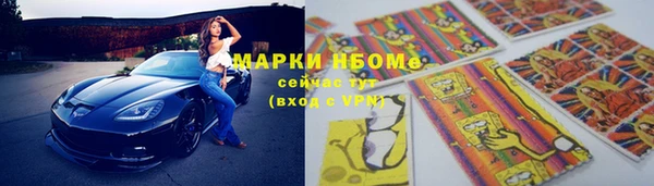 соль ск Богородск