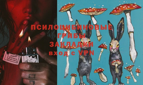 крисы Пестово