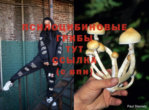 ешки Богданович